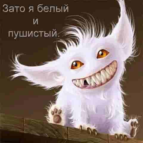 Білий і пухнастий